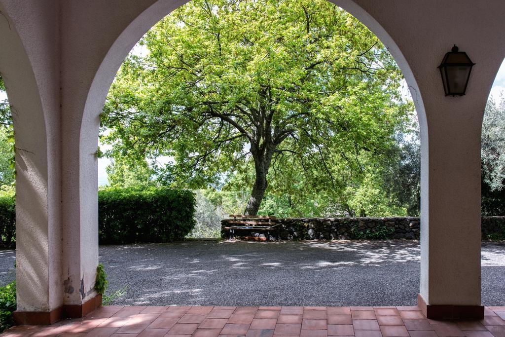 Frühstückspension Domus Verdiana 3*